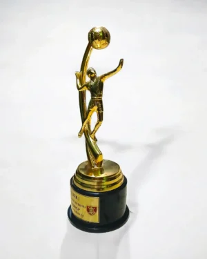 Piala Voli