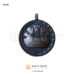 pin lencana satyalancana kebaktian sosial